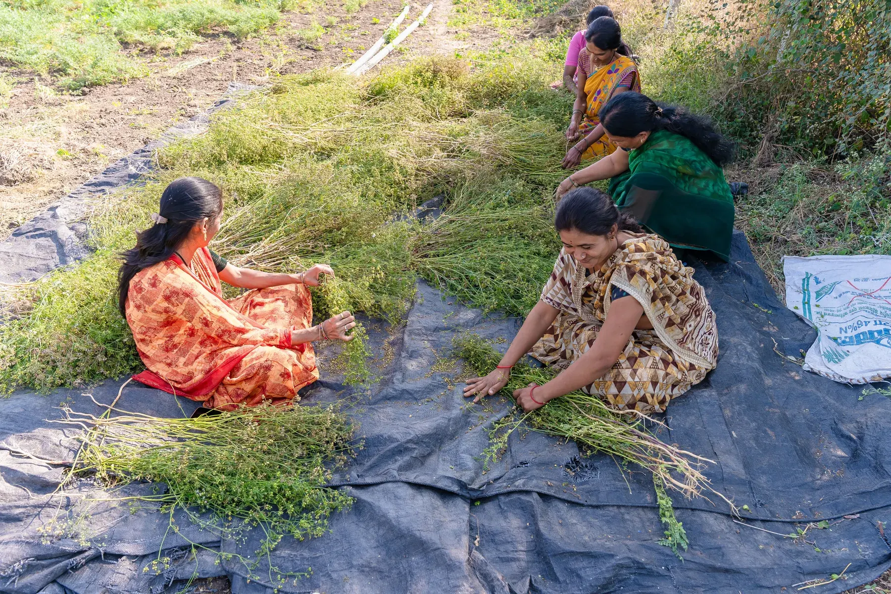Indian women working together in a livelihood activity